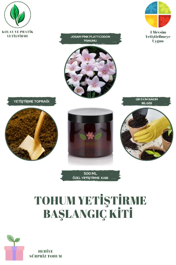 Josam Pink Platycodon Tohumu Yetiştirme Kiti
