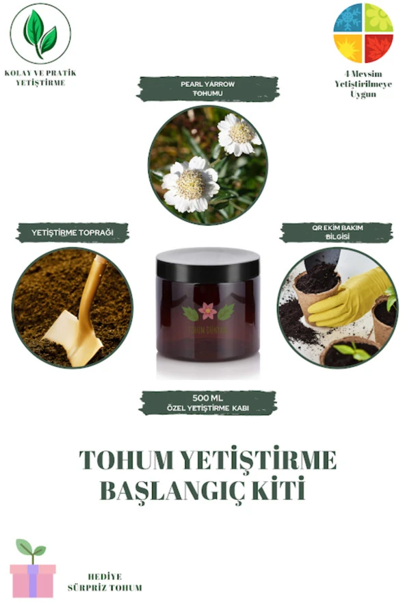 Pearl Yarrow Tohumu Yetiştirme Kiti