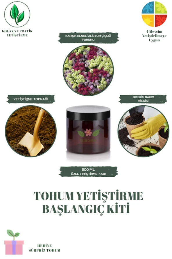Karışık Renkli Alisyum Çiçeği Tohumu Yetiştirme Kiti