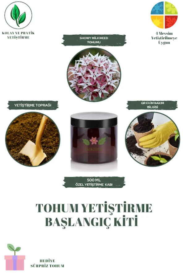 Showy Milkweed Tohumu Yetiştirme Kiti