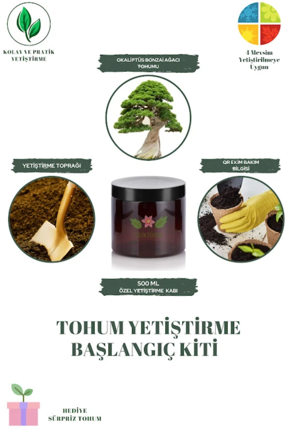 Okaliptüs Bonzai Ağacı Tohumu Yetiştirme Kiti