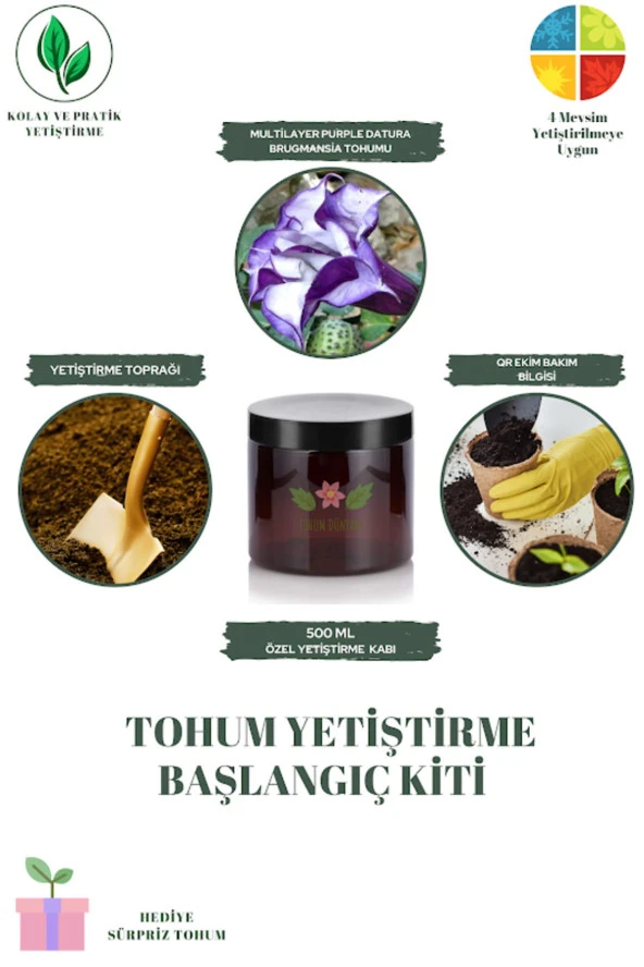 Multilayer Purple Datura Brugmansia Tohumu Yetiştirme Kiti