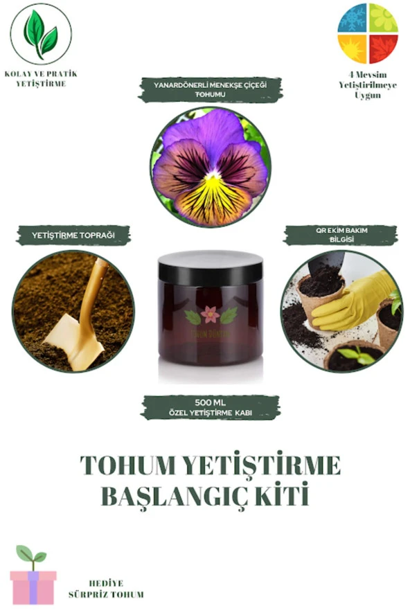 Yanardönerli Menekşe Çiçeği Tohumu Yetiştirme Kiti