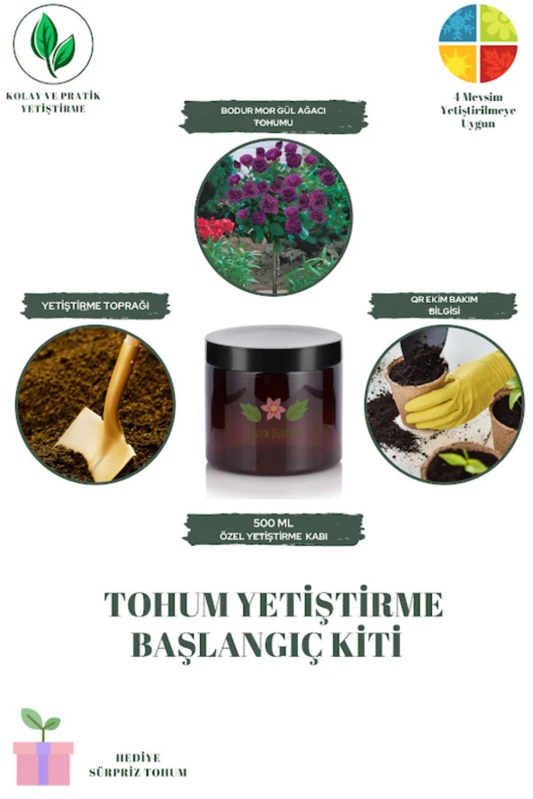 Bodur Mor Gül Ağacı Tohumu Yetiştirme Kiti
