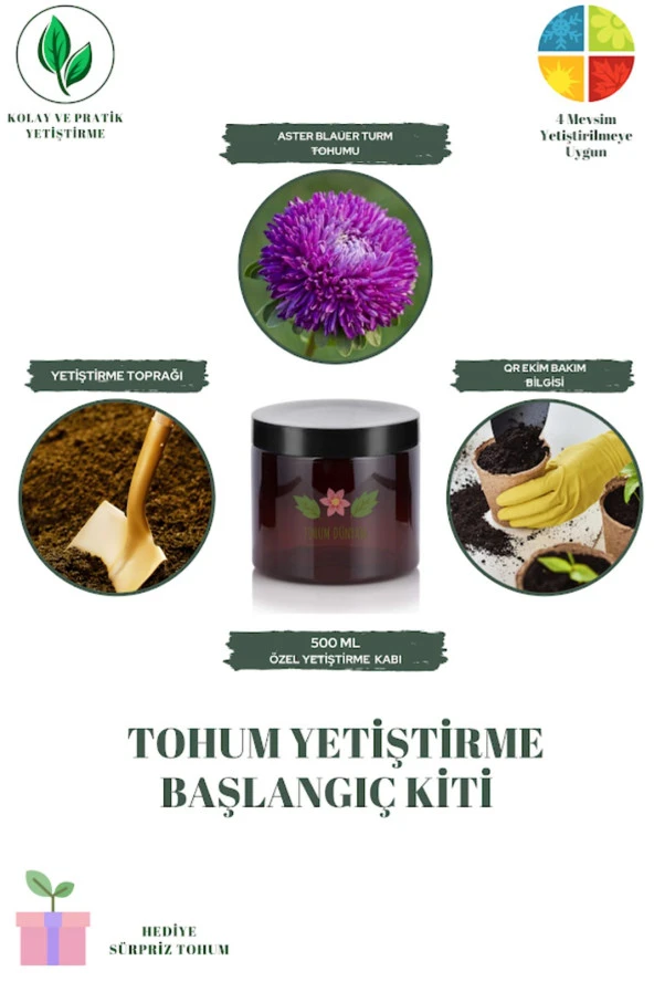 Aster Blauer Turm Tohumu Yetiştirme Kiti