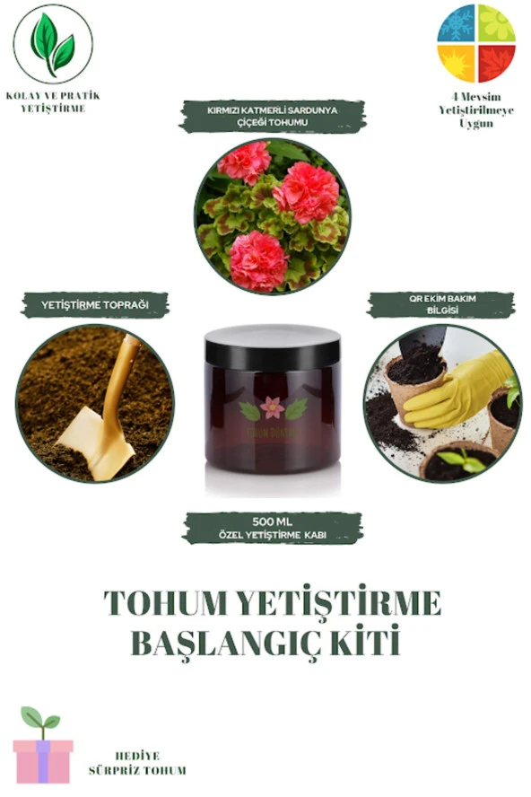 Kırmızı Katmerli Sardunya Çiçeği Tohumu Yetiştirme Kiti