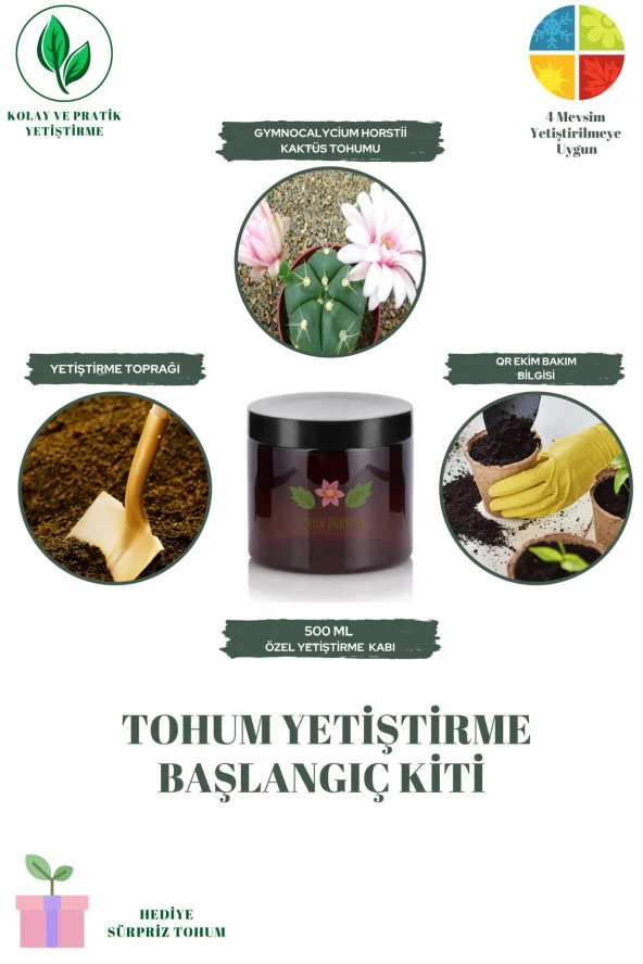 Gymnocalycium Horstii Kaktüs Tohumu Yetiştirme Başlangıç Kiti