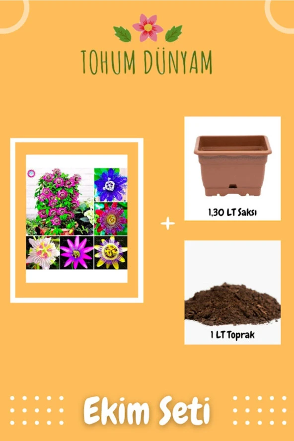 9 Çeşit Passiflora Çiçeği Tohumu Ekim Seti