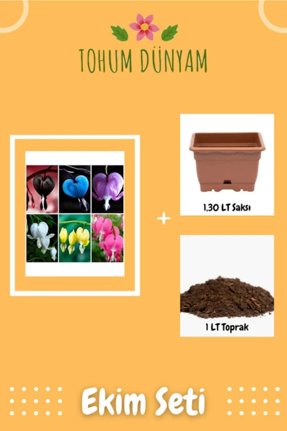 Kanayan (ağlayan) Kalpler Çiçeği Karışık Tohumu Ekim Seti