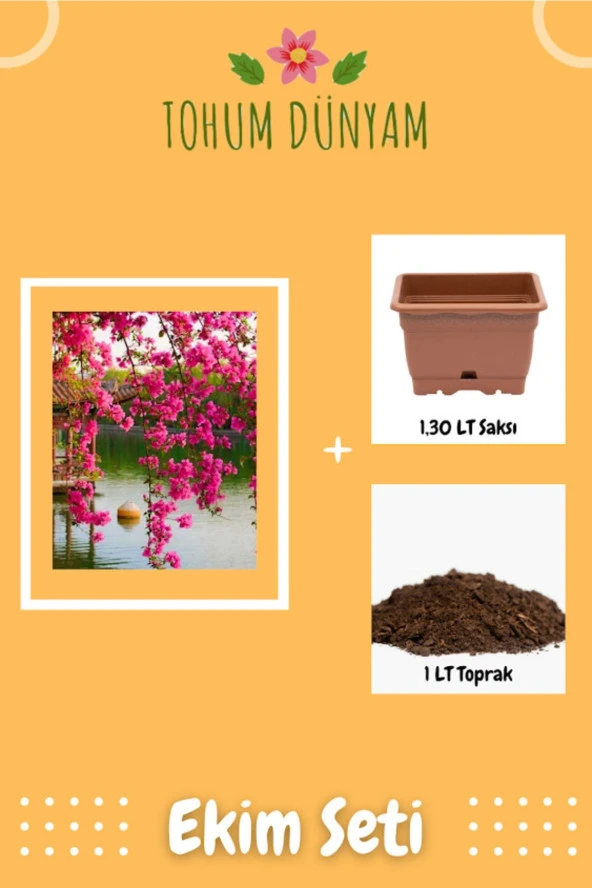 Pembe Çiçekli Sarmaşık Tohumu Ekim Seti