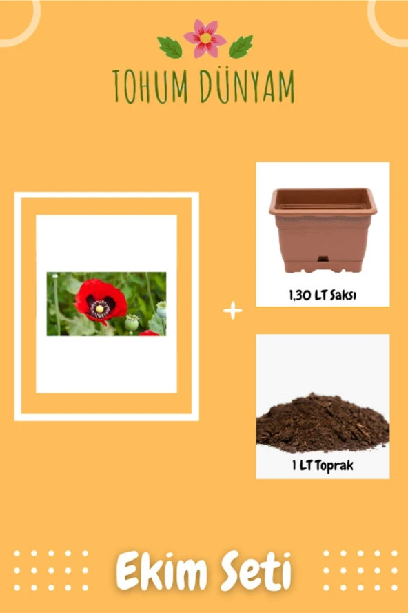 Kırmızı Gelincik Çiçeği Tohumu Ekim Seti