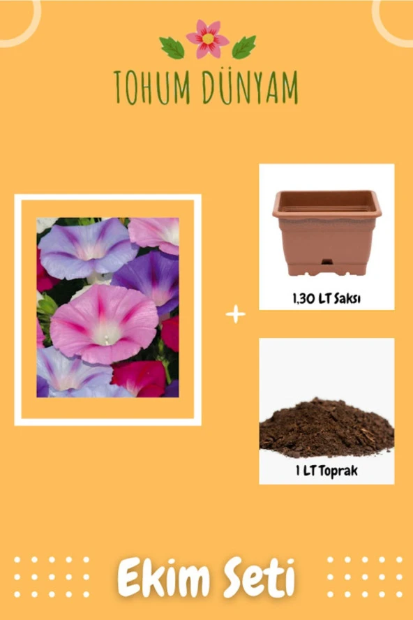 Sarmaşık Çiçeği Tohumu Ekim Seti