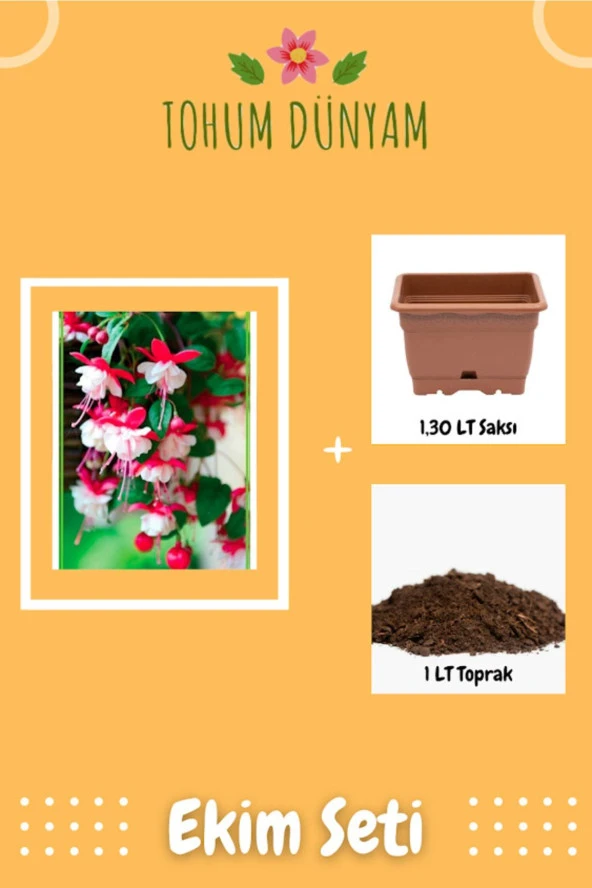 Yer Küpeli Çiçeği Tohumu Ekim Seti