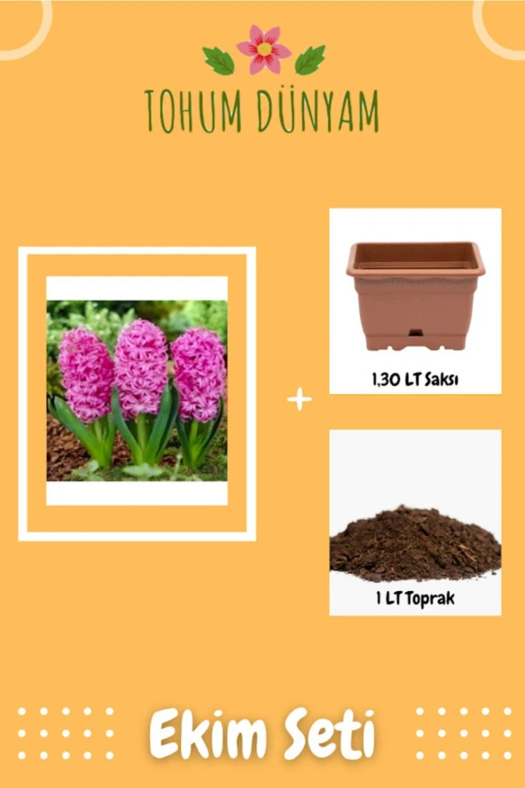 Pembe Sümbül Tohumu Ekim Seti