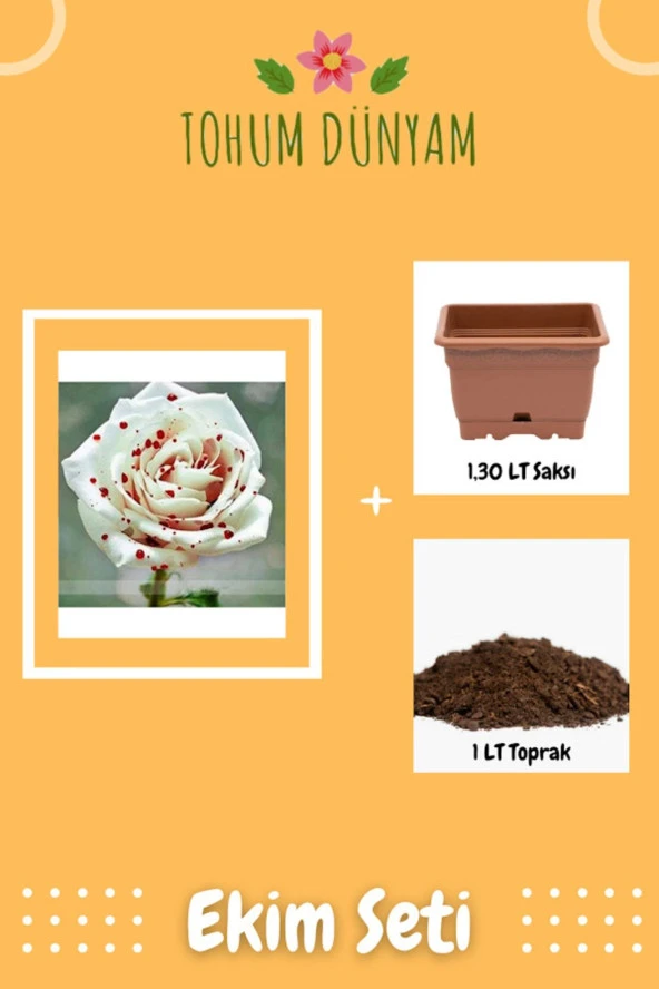 Redspotwhite Gül Tohumu Ekim Seti