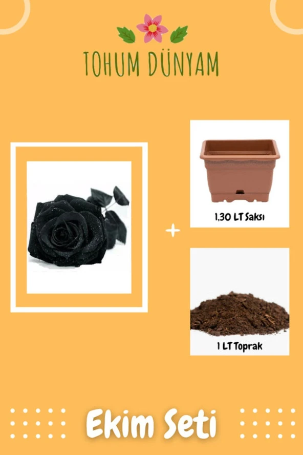 Siyah Gül Tohumu Ekim Seti