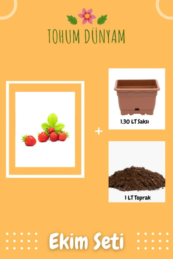 Yayılıcı Dağ Çileği Tohumu Ekim Seti