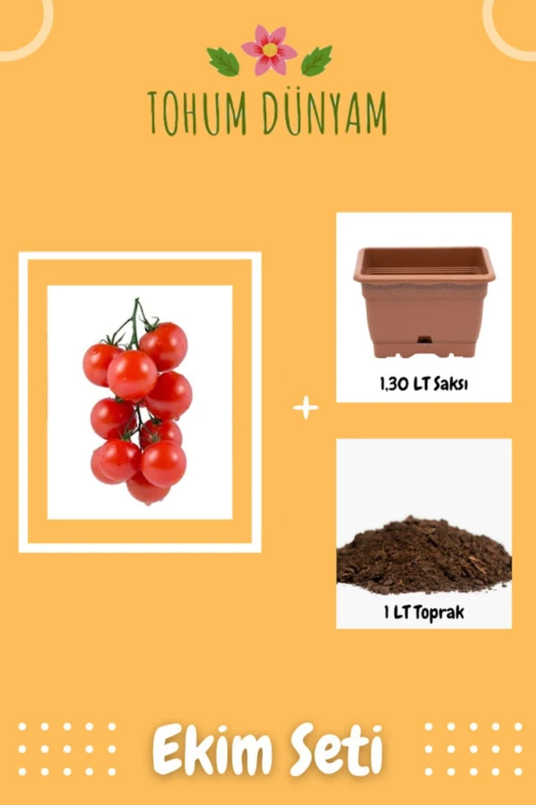 Erkenci Beşdeli Salkım Domates Tohumu Ekim Seti