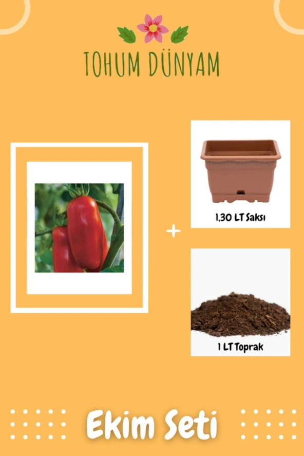 San Marzano Domates Tohumu Ekim Seti