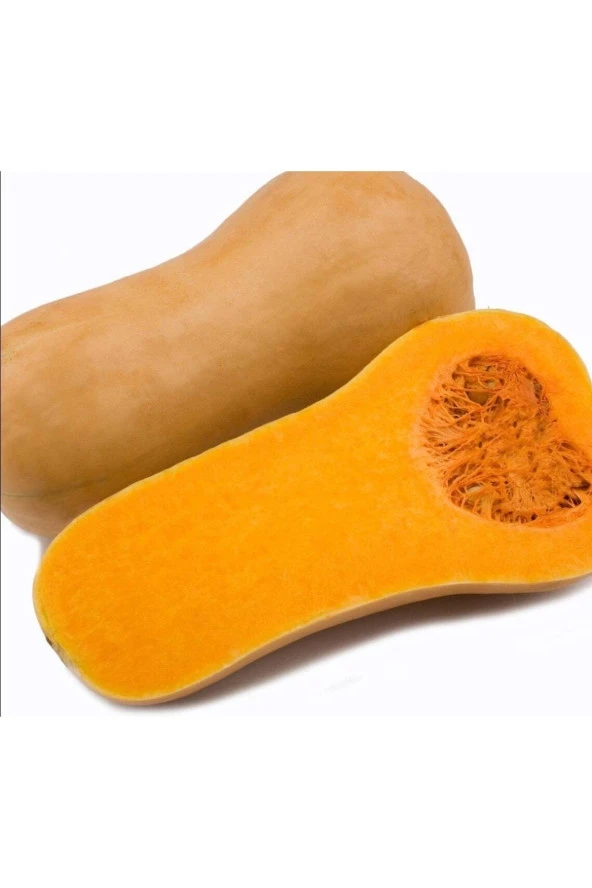 5 Adet Pumpkin Butternut Sweet Bal Kabağı Tohumu