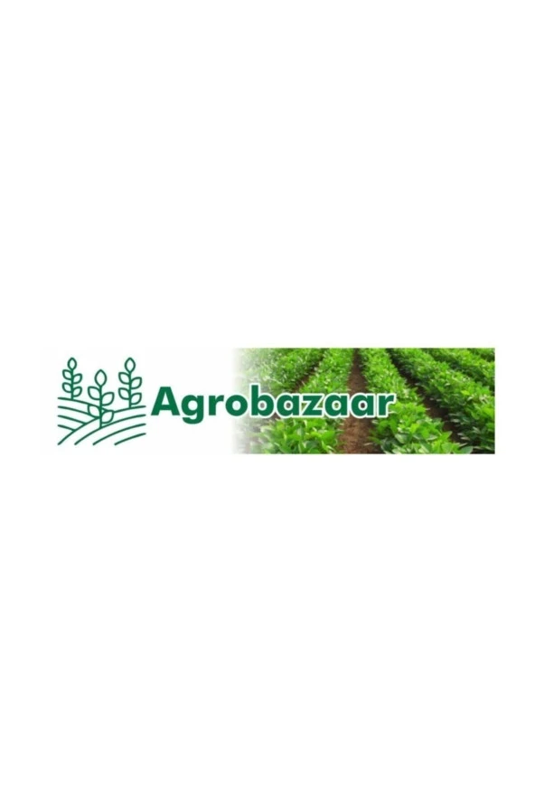 Agrobazaar Tarla Domatesi Tohumu 25+ Adet Tohum