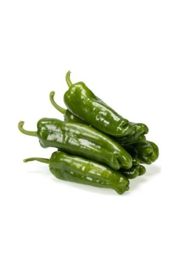 Ayc Botanik Köy Biberi Tohumu 10+ Adet Tohum