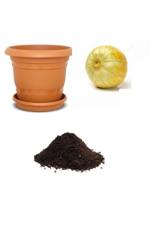 Nadir Mini Sarı Kabak Tohumu Ekim Seti