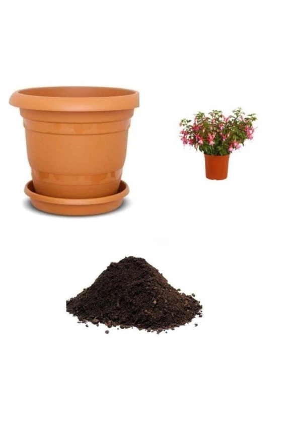 Pembe Küpeli Çiçeği Tohumu Ekim Seti