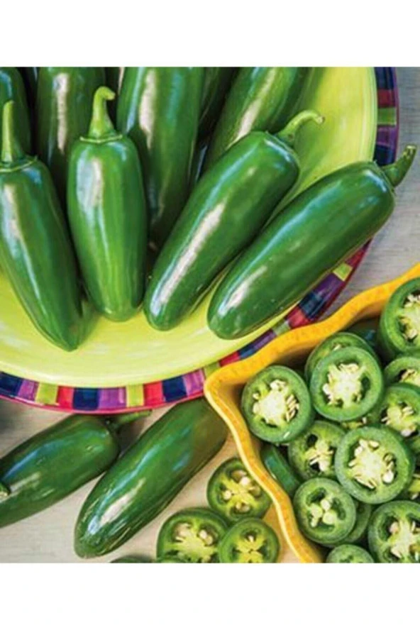 Ithal Acı Jalapeno Biberi Tohumu Ekim Seti