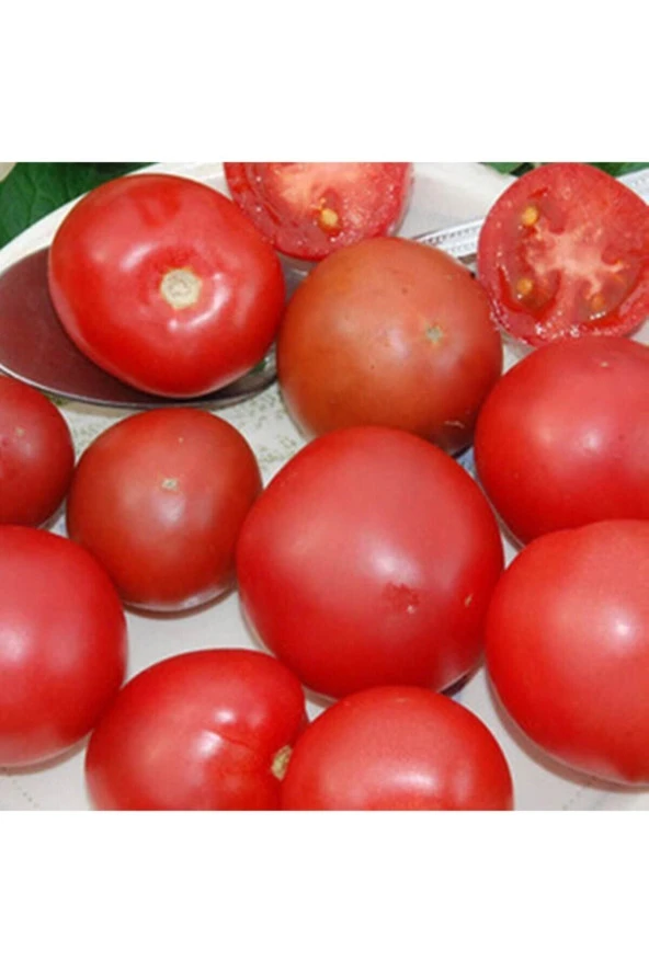Ayc Botanik Brandysweet Plum Domates Tohumu