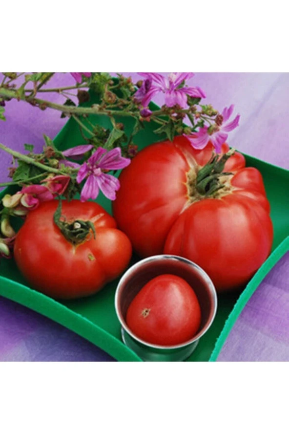 Ayc Botanik Goose Creek Domates Tohumu