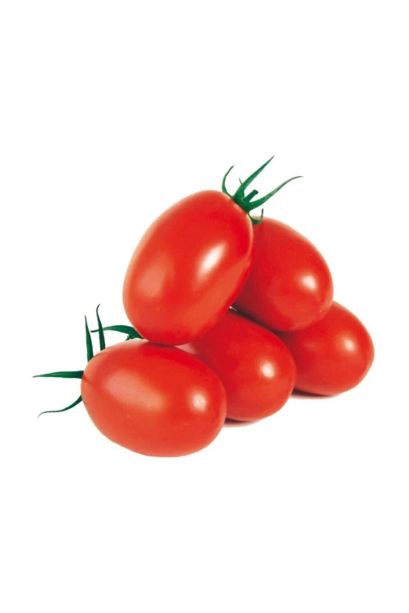 Saksılık Zeytin Domates Tohumu 10 Adet Tohum Kahvaltılık Domates Tohumu