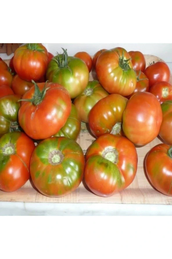 Mis Kokulu Yayla Domatesi Tohumu
