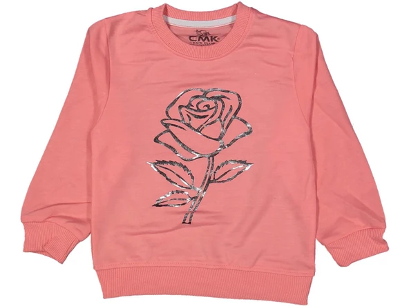 Kız Çocuk Mevsimlik Gül Baskılı Sweatshirt BGL-ST03645 - 1