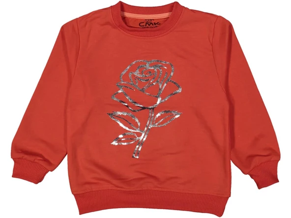 Kız Çocuk Mevsimlik Gül Baskılı Sweatshirt BGL-ST03645 - 3