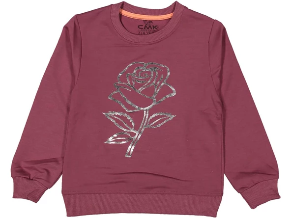 Kız Çocuk Mevsimlik Gül Baskılı Sweatshirt BGL-ST03645 - 5