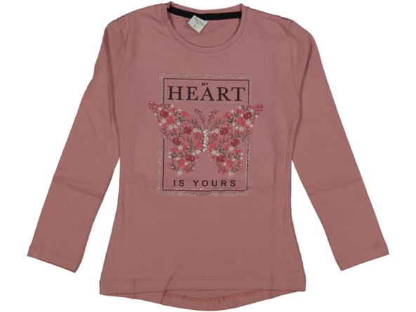 Kız Çocuk Mevsimlik Taşlı Kelebekli Sweatshirt BGL-ST03656 - 4