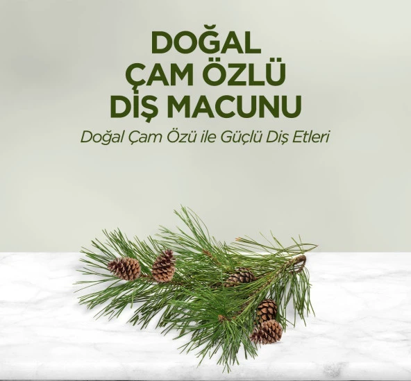Eyüp Sabri Tuncer Doğal Çam Özlü Diş Macunu 90 ml 3 Adet - 4