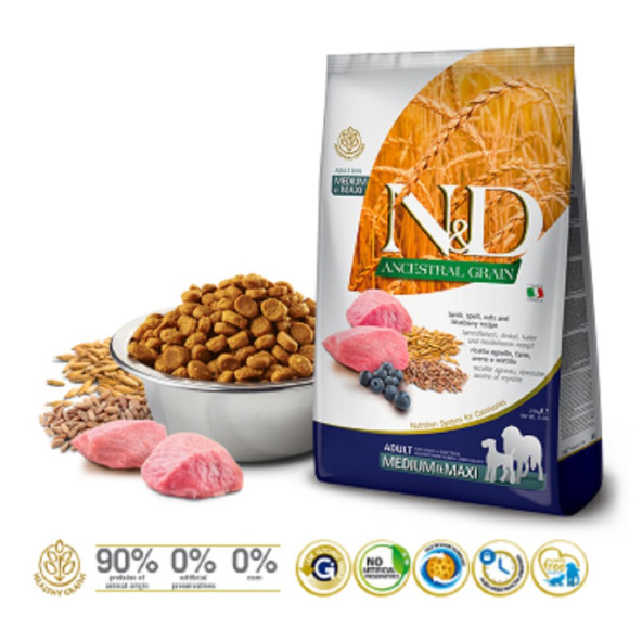 N&D Düşük Tahıllı Kuzu Etli ve Yaban Mersinli Medium ve Maxi Yetişkin Köpek Maması 12 Kg - 2
