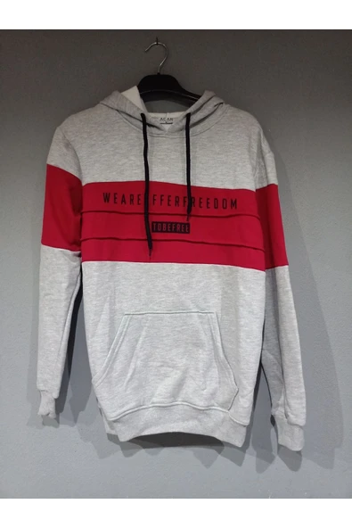 Unisex Kapşonlu 3 Iplik Sweatshirt Gri ürün görseli