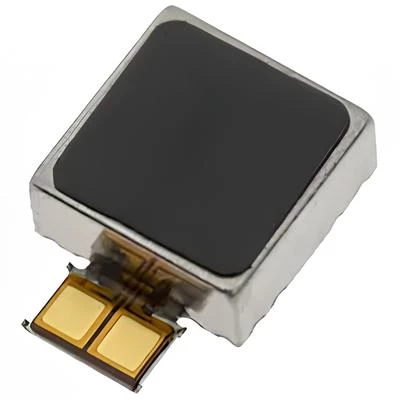 Samsung Galaxy NOTE 10 PLUS - SM-N975 Titreşim Motoru Flex