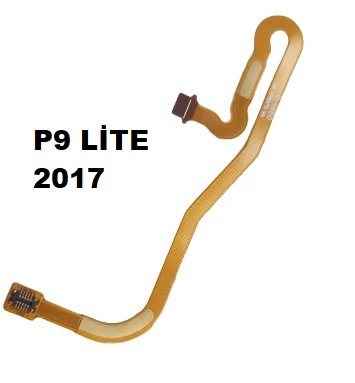 Huawei Uyumlu P9 Lite 2017 Ara Film