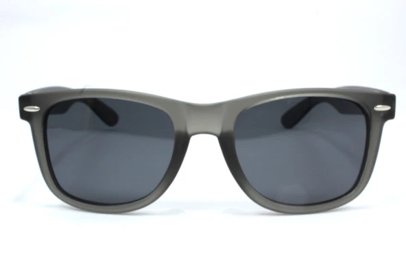 2040 C04-44 Polo Exchange Güneş Gözlüğü - Resim 4