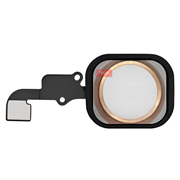 iPhone 6 Home Tuşu Flex GOLD - Lastikli Çerceveli