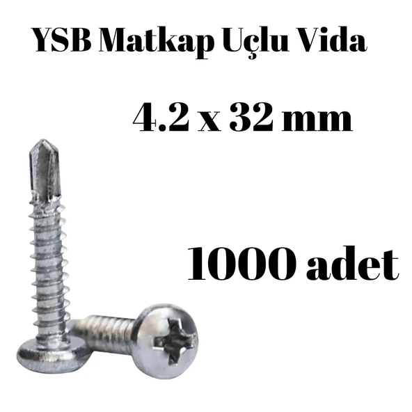Yıldız Silindir Başlı 4.2X32 YSB Matkap Uçlu Akıllı Vida 1000 Adet ürün görseli 1