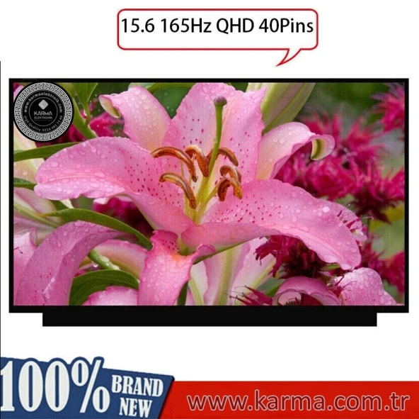 15.6" 40pin Slim 2560 x 1440 (2K QHD) IPS Notebook Lcd Ekran - Panel N156KME-GNA / 165Hz / 40Pin (Geniş Soket)