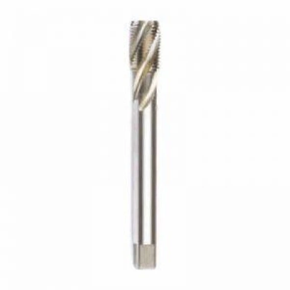 HSSE DIN376/C 35° HELİS M20x2,5 (6H) ürün görseli 1