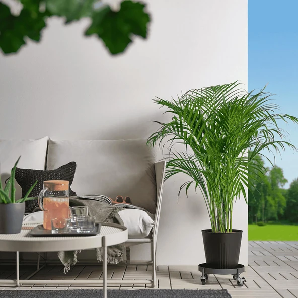 Tekerlekli Saksı Altı MeridyenDukkan 32 cm Galvanizli Saksılık Altı Pratik Frenli - Resim 3