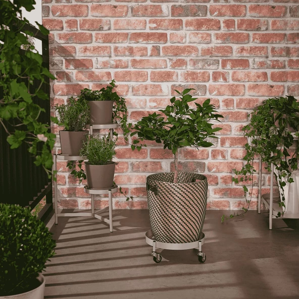 Tekerlekli Saksı Altı MeridyenDukkan 32 cm Galvanizli Saksılık Altı Pratik Frenli - 5