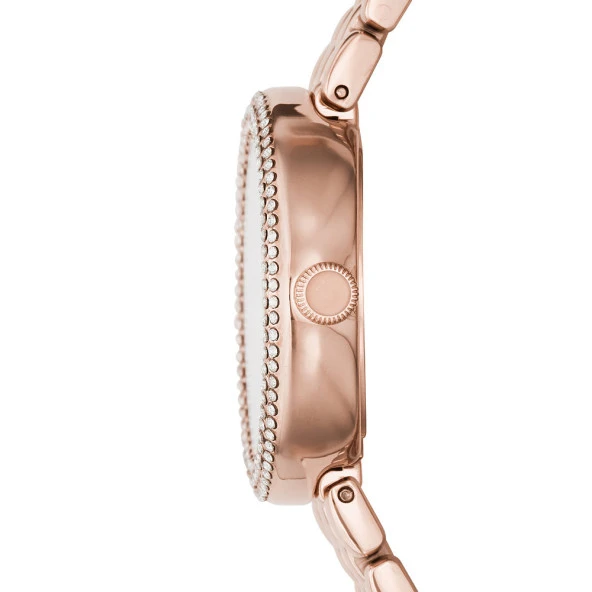 Emporio Armani AR11355 Kadın Kol Saati - Resim 2